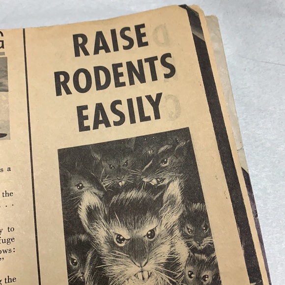 Vintage Mad magazine - Picture 17 of 17